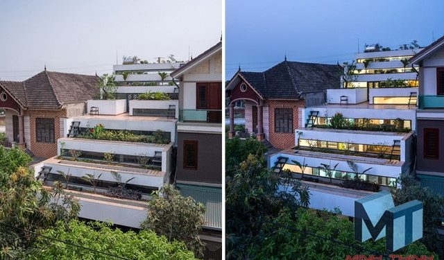 vườn bậc thang trên mái nhà độc đáo