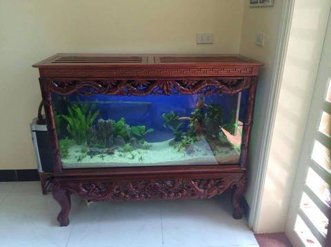 Bể cá nên được đặt bên trái nhà(từ trong nhìn ra)