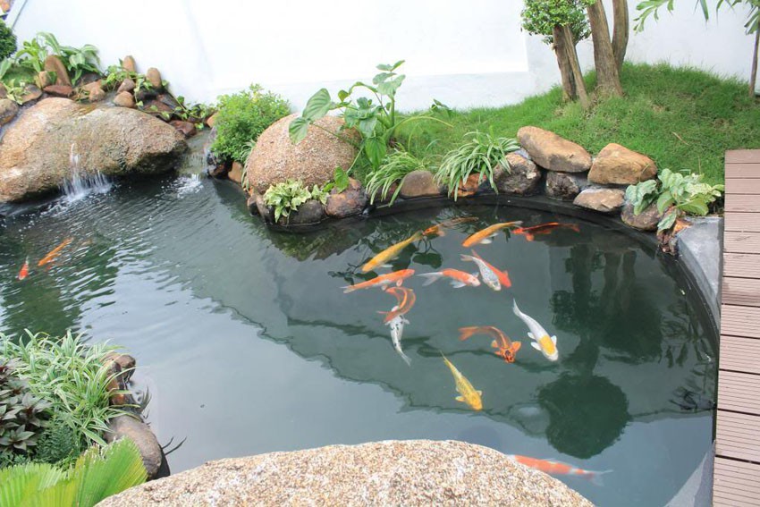 mot-so-luu-y-12-con-giap-khi-trang-tri-nha-cua-can-biet-nhung-dieu-cam-ky-sau-1