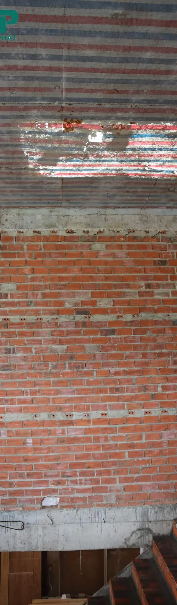 337285344_731949361933381_5979950849095859565_n